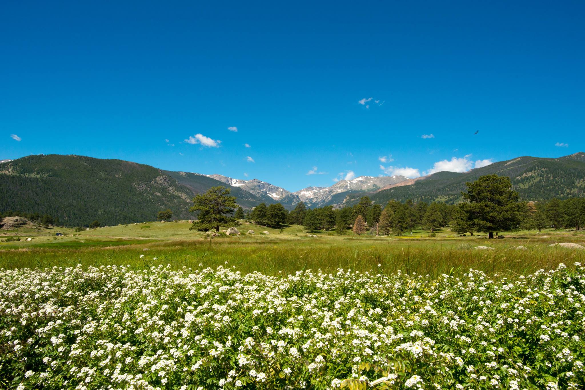Moraine Park