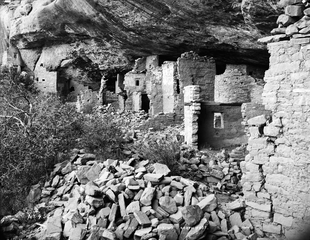 Spruce Tree House Before Excavation